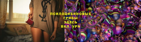 крисы Бугульма
