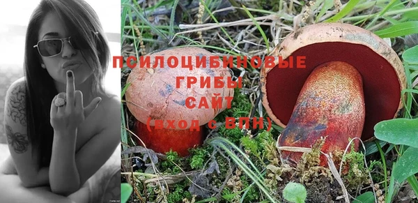 круглые Бородино