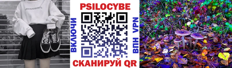 мориарти как зайти  Сокол  Псилоцибиновые грибы мицелий 